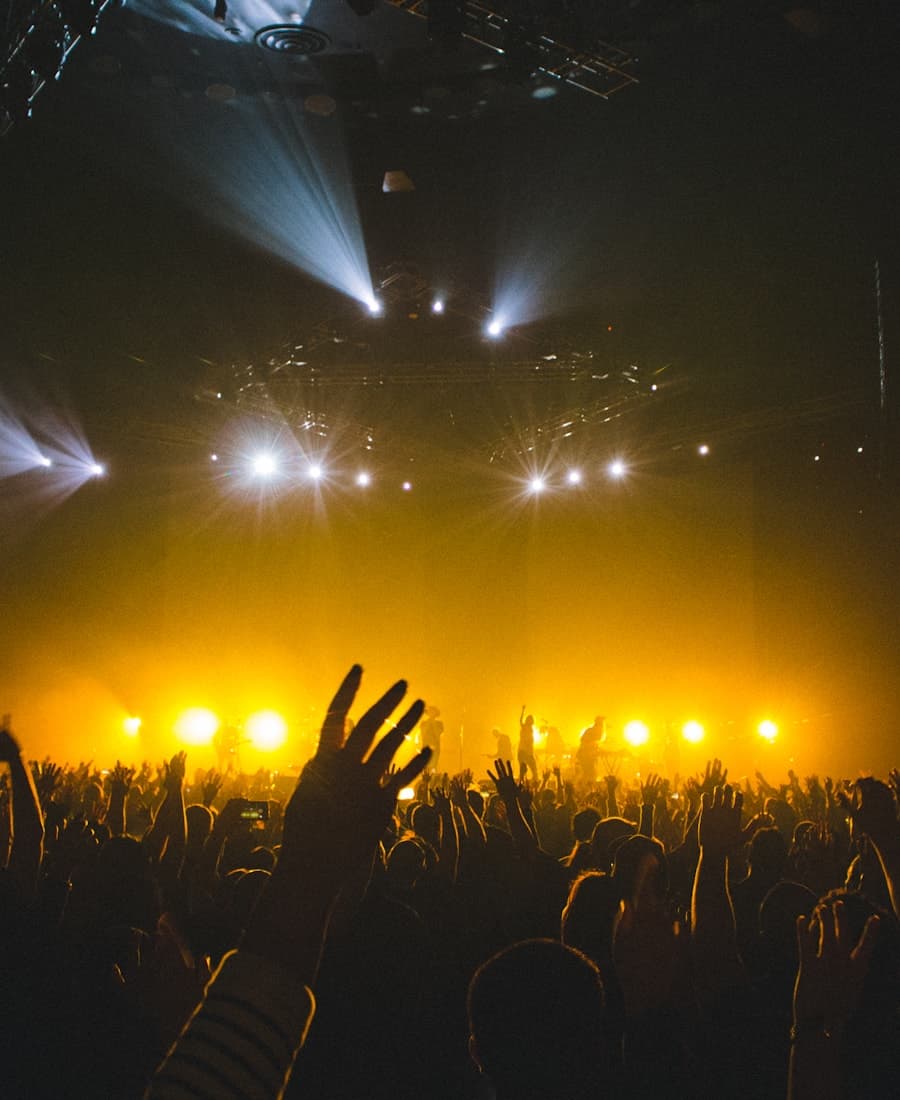 Público em show ao vivo
